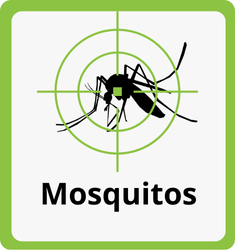 Formitec Desinsetização