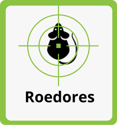 Formitec combate a ratos e ratazanas